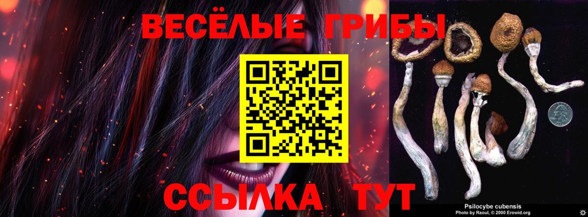 Псилоцибиновые грибы Psilocybine cubensis  Псилоцибиновые грибы GOLDEN TEACHER  Вход с VPN  Казань 